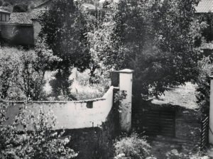Casa de pueblo, jardín con muro y huerto